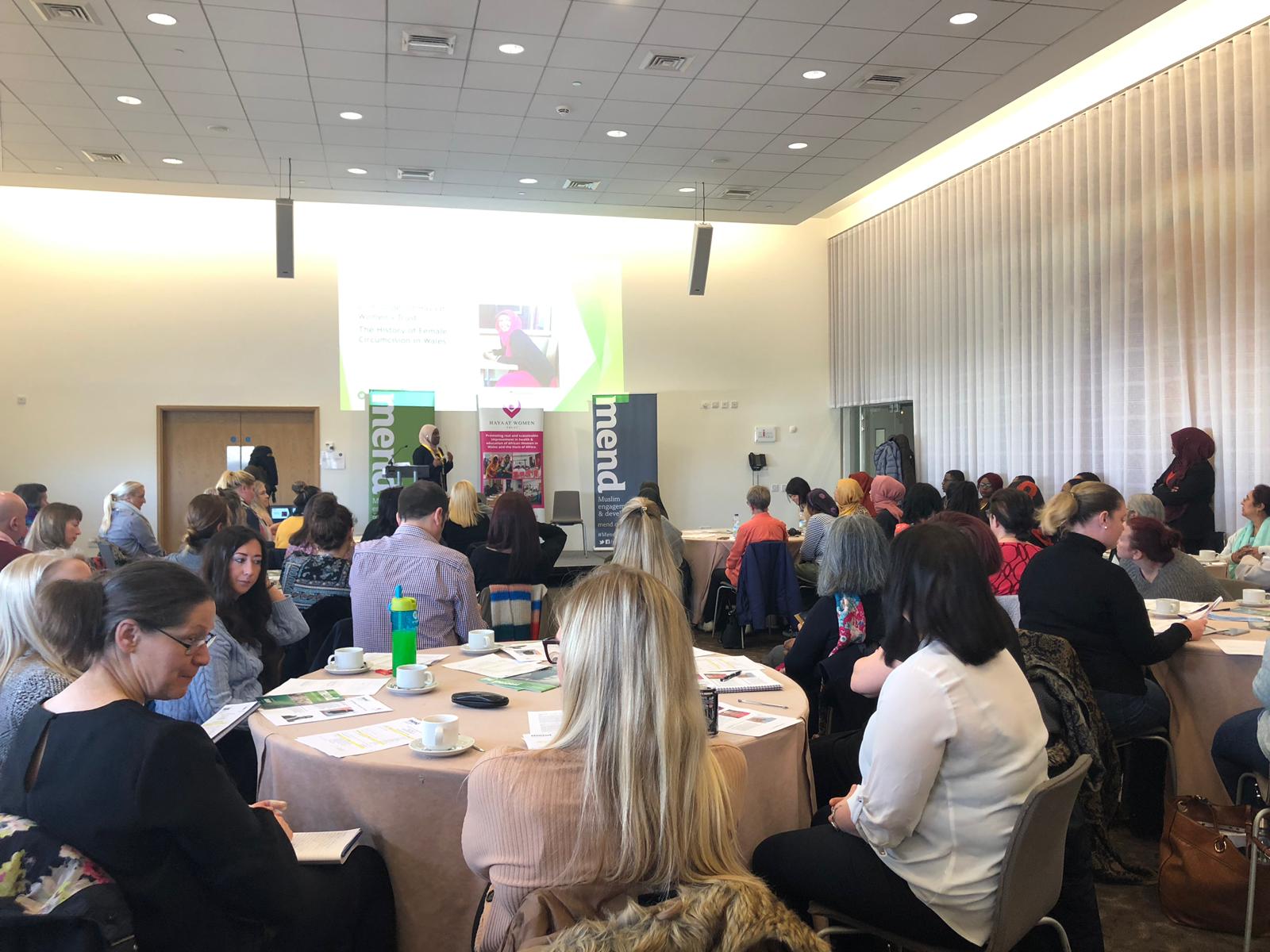 Working with the FGM laws: challenges and opportunities